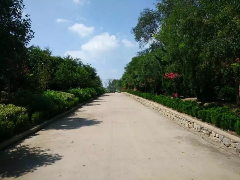 ٳ | ˴ΪرȦһ޼֮