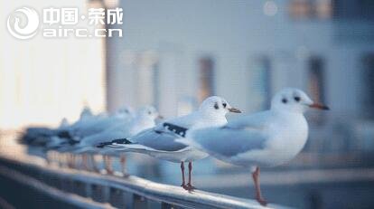 ٳ | 8ǰʱ⣬