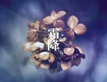 ٳ | ˪붬ؾһ֣